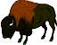 buffalo2.jpg